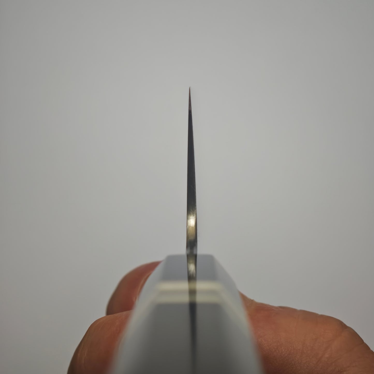 Sukenari Hap40 Kiritsuke Gyuto 240mm
