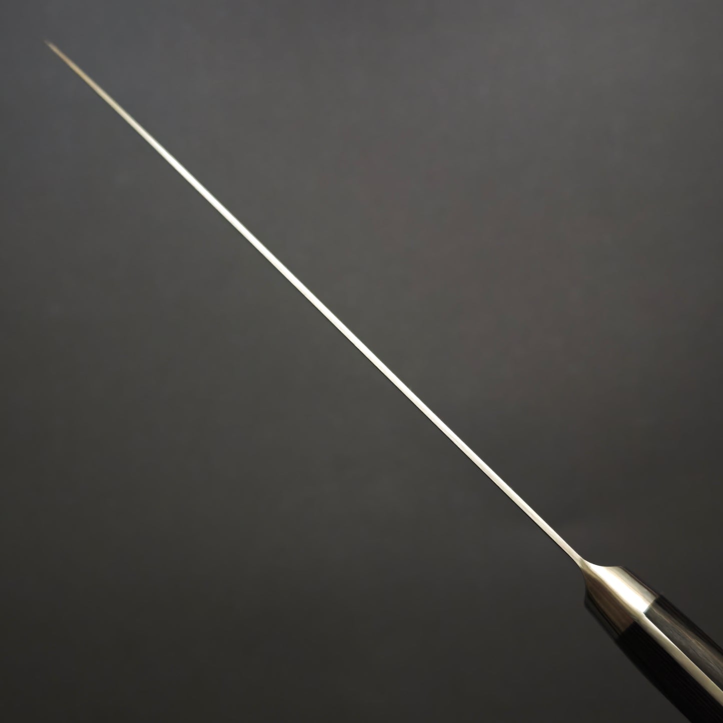 Touroku Sakai Migaki SG2 Gyuto 210mm Western Handle