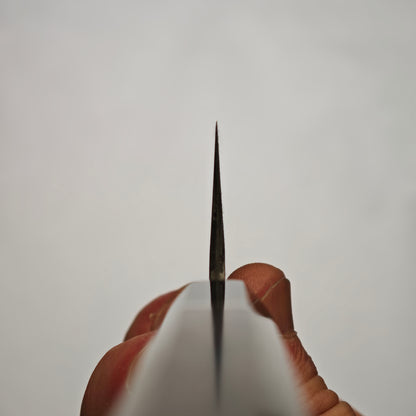 14 Miyazaki Kajiya Kitaeji Wa-tetsu Hon-warikomi Sujihiki 255mm