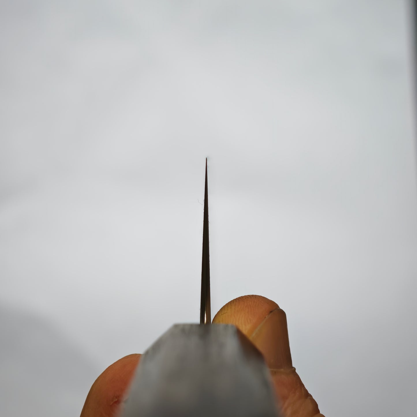 Touroku Sakai Tadataka Maruyama White2 Santoku 170mm