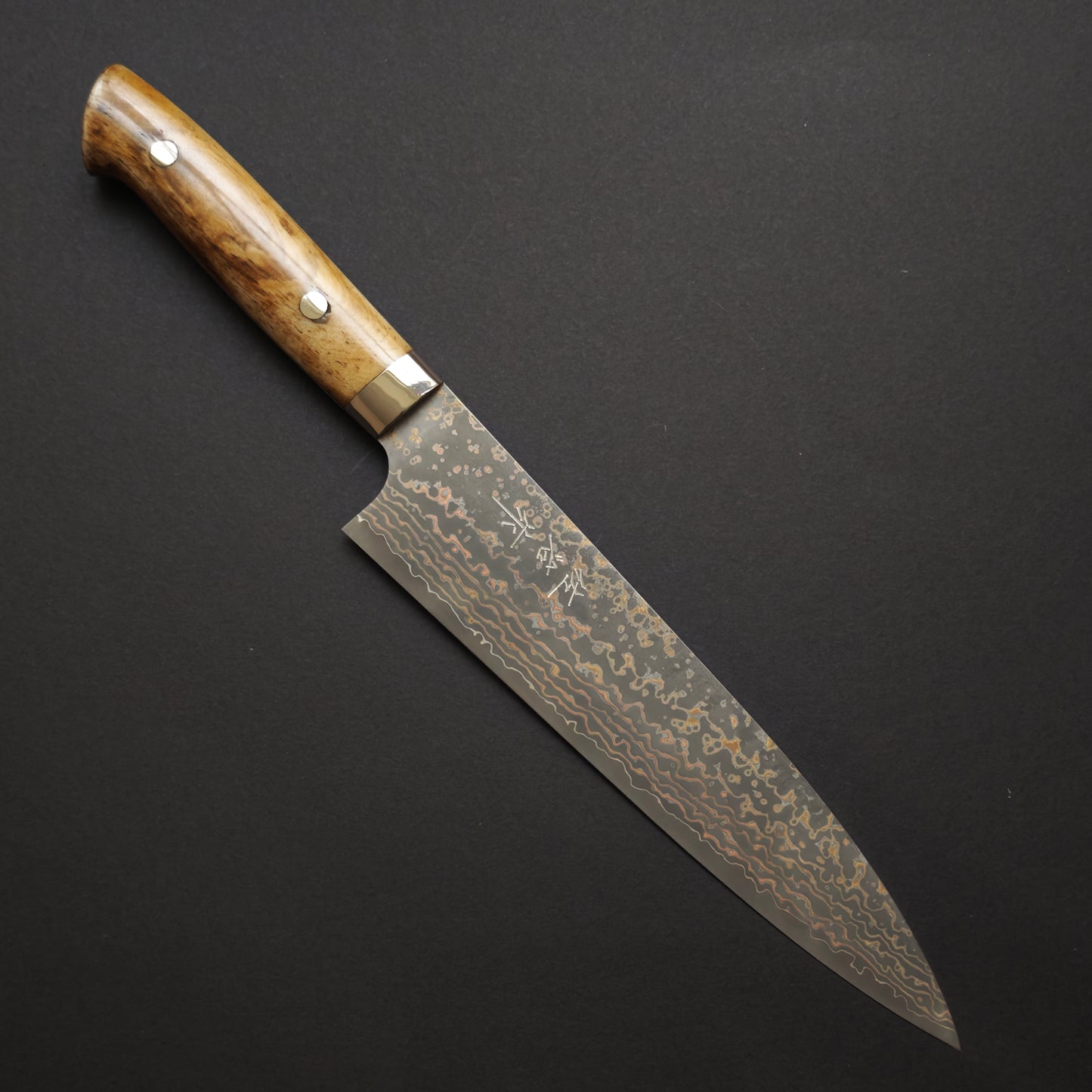 Takeshi Saji VG10 Gold BCW Gyuto 210mm
