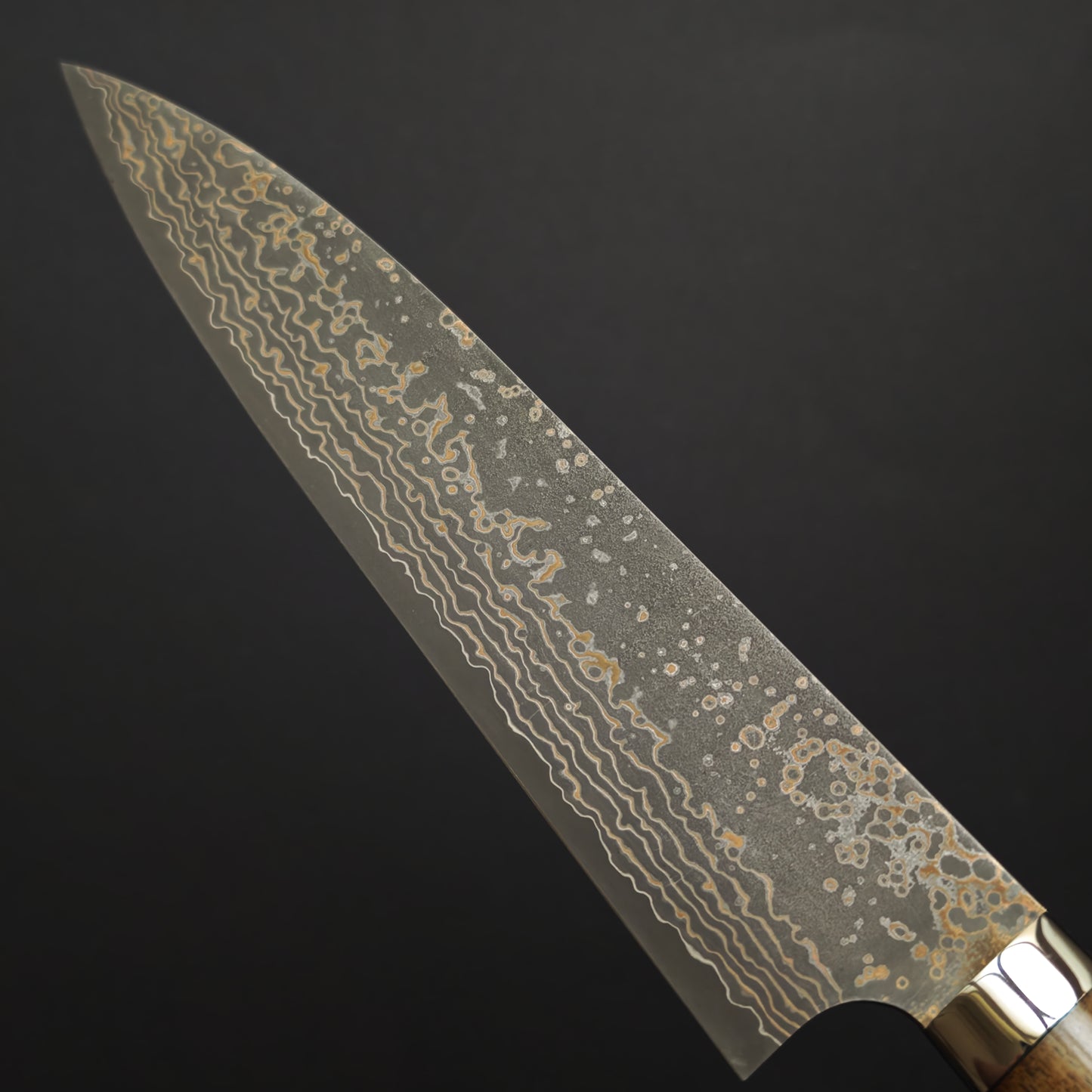 Takeshi Saji VG10 Gold BCW Gyuto 210mm