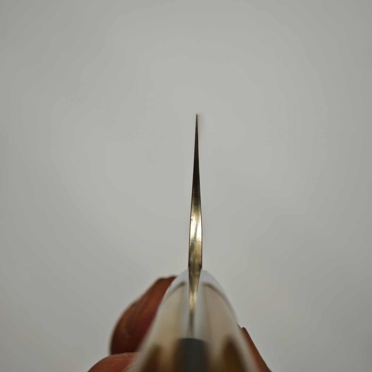 Takeshi Saji VG10 Gold BCW Gyuto 210mm