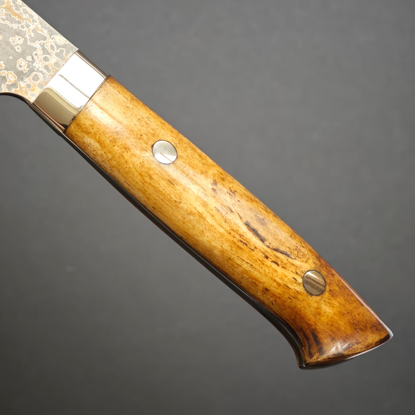 Takeshi Saji VG10 Gold BCW Gyuto 210mm