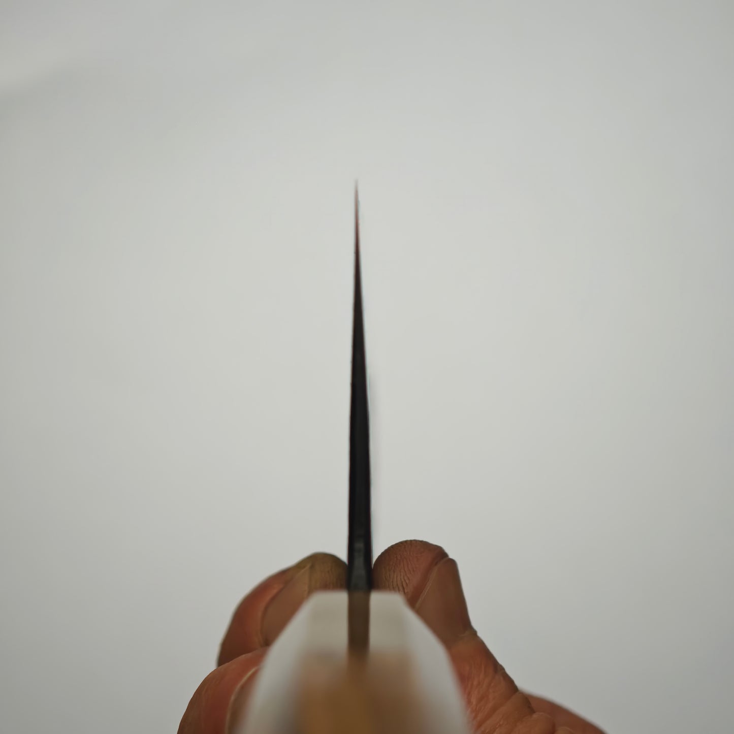 Sakai Kikumori MK Blue2 Gyuto 240mm