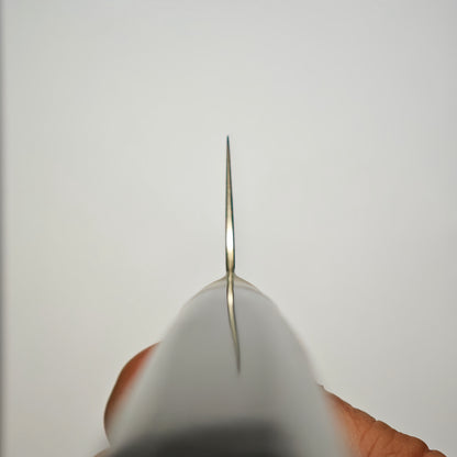 Sakai Takayuki Grand Chef Seigaiha Gyuto 210mm