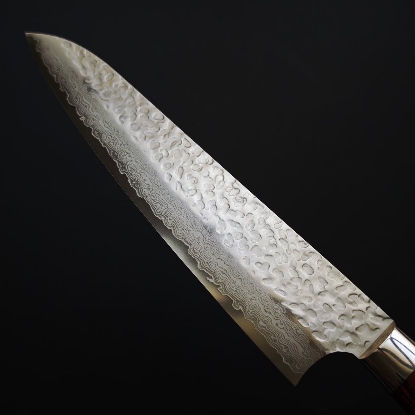 Sakai Takayuki VG10 33 Layer Damascus Gyuto 240mm-Western Handle
