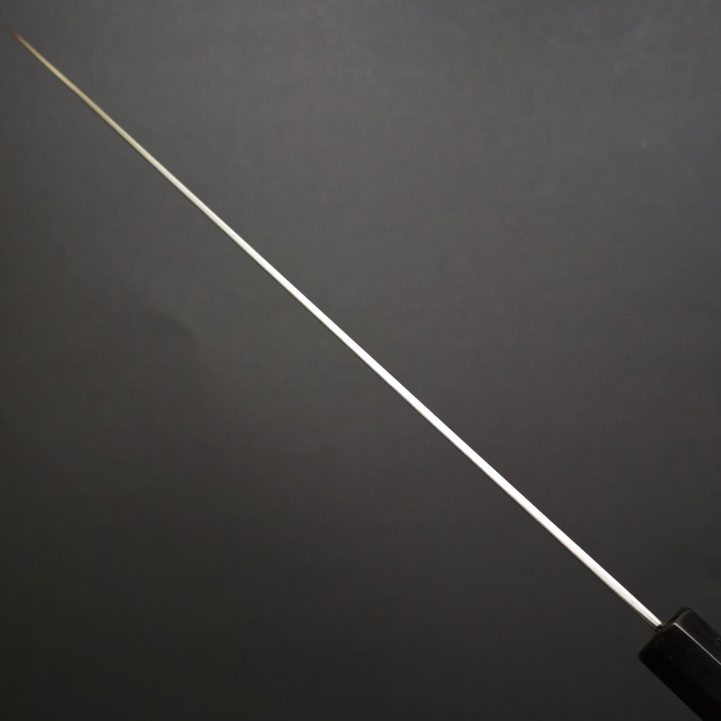 Sukenari SG2 Sujihiki 270mm