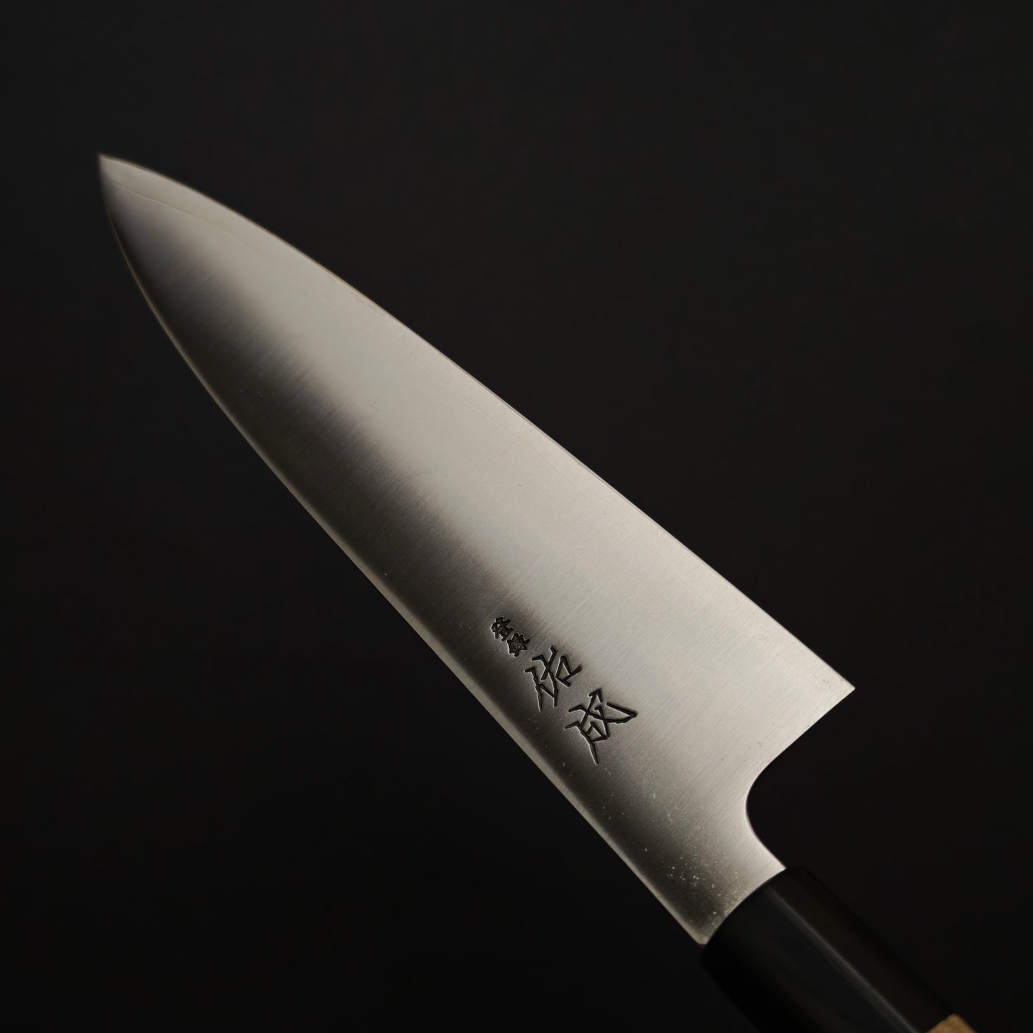 Sukenari SG2 Gyuto 210mm