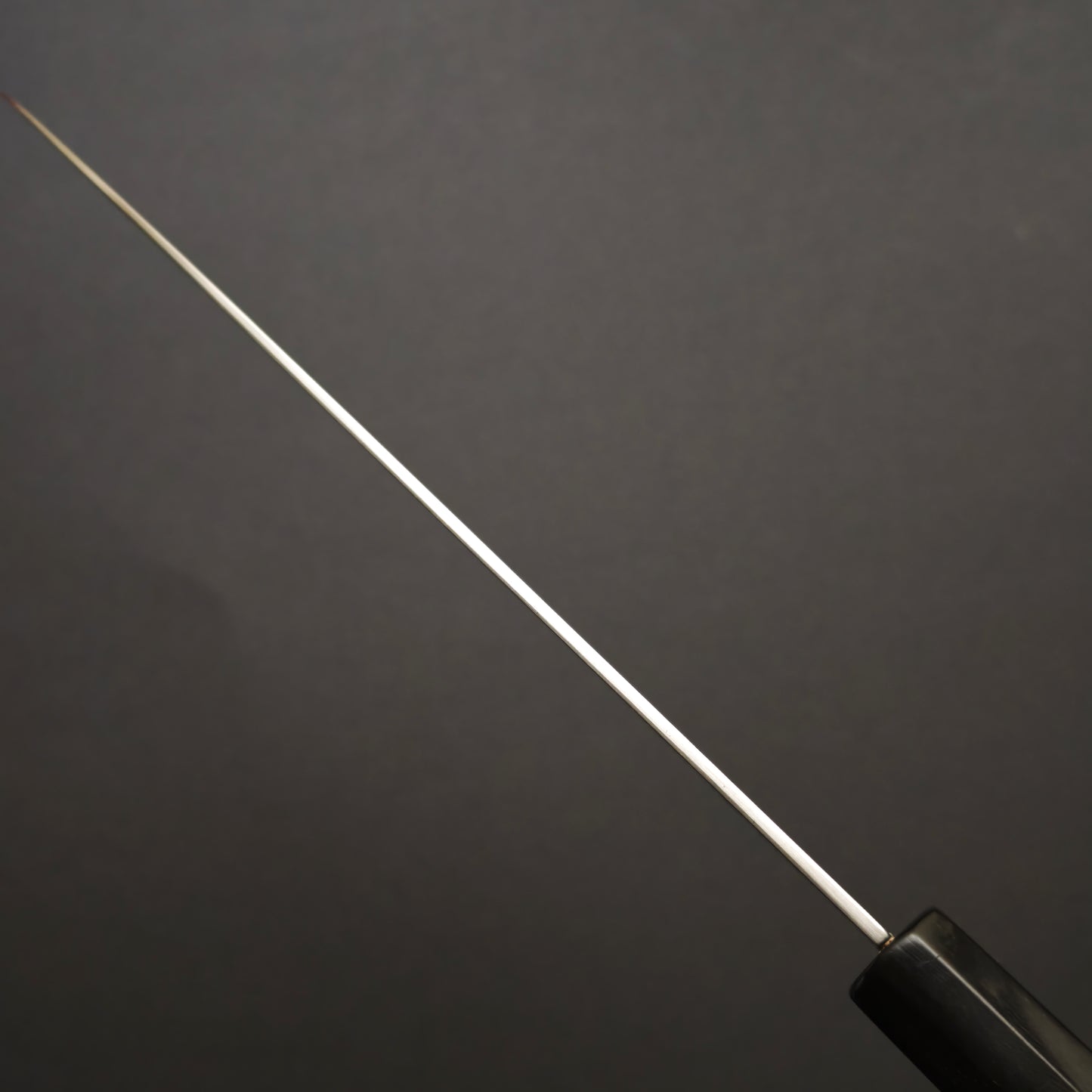 Sukenari SG2 Gyuto 210mm