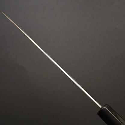 Sukenari SG2 Gyuto 210mm
