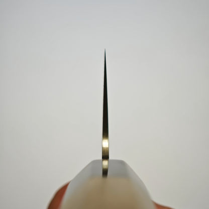 Sukenari SG2 Gyuto 240mm
