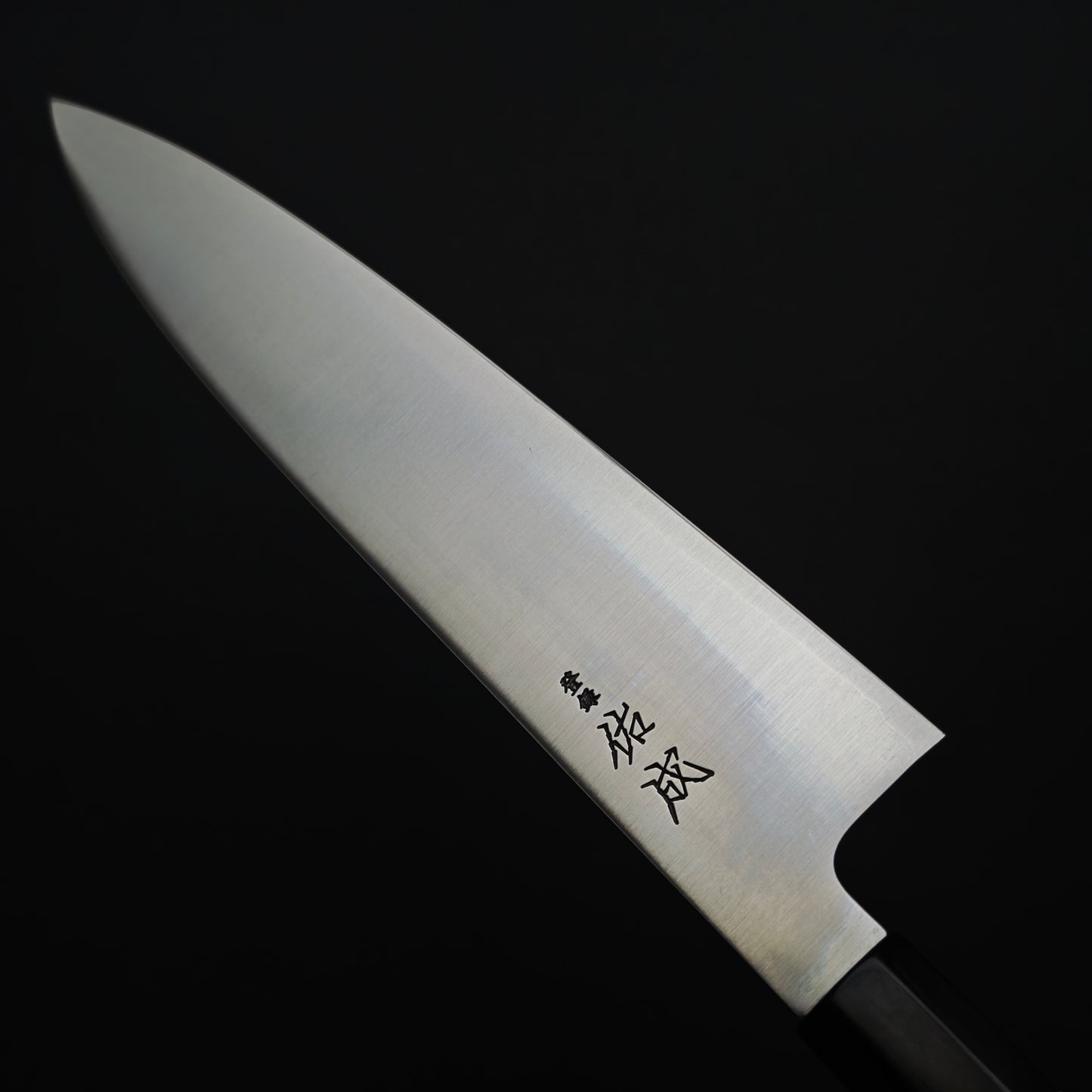 Sukenari SG2 Gyuto 240mm