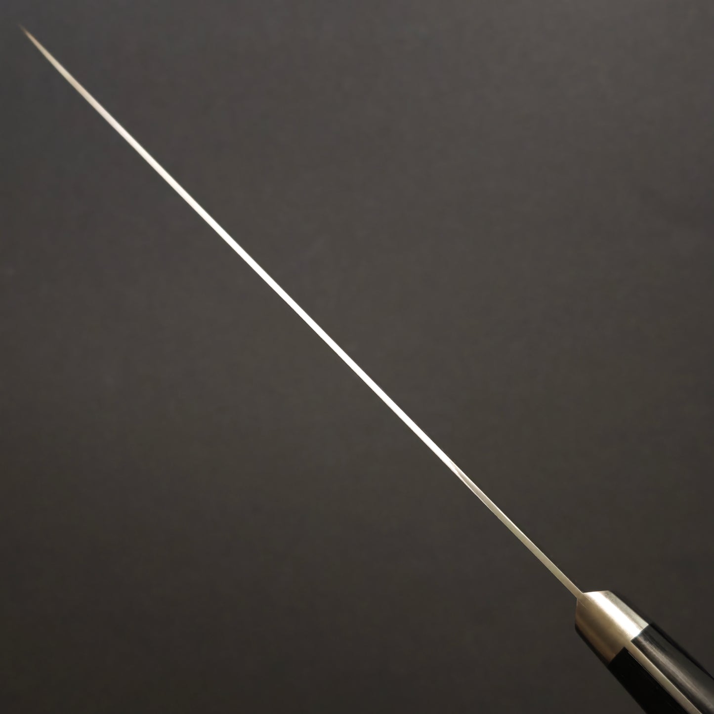 Takamura Migaki VG10 Gyuto 210mm