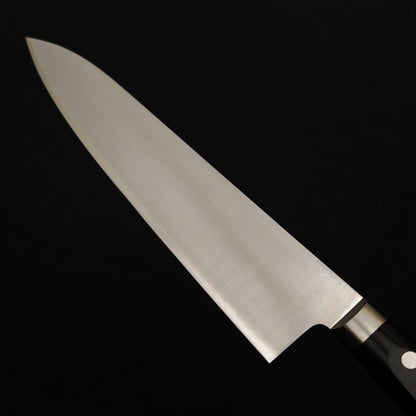 Takamura Migaki VG10 Gyuto 210mm