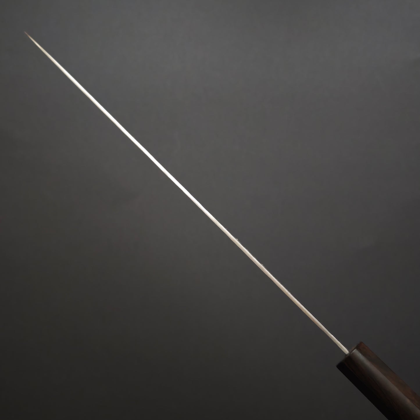 Sakai Takayuki VG10 Nashiji Sujihiki 240mm