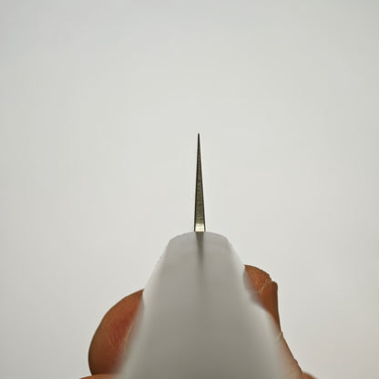 Sakai Takayuki VG10 Nashiji Sujihiki 240mm