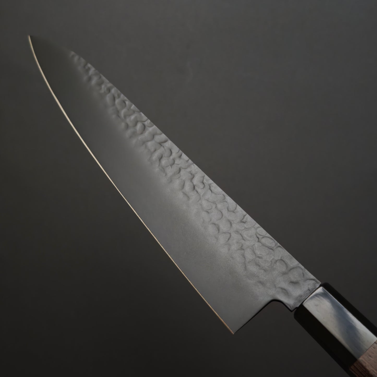 Sakai Takayuki Kurokage VG10 Gyuto 210mm