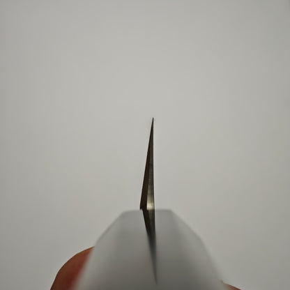 Nakagawa-Shimizu Ginsan Mirror Polised Yanagiba 300mm