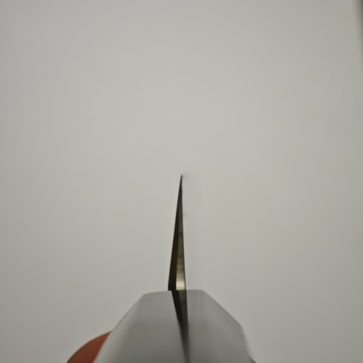 Nakagawa-Shimizu Ginsan Mirror Polised Yanagiba 270mm