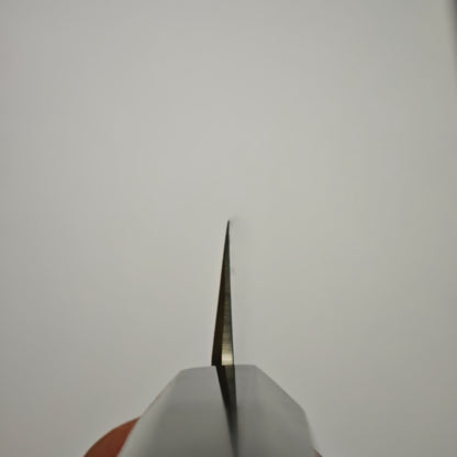 Nakagawa-Shimizu Ginsan Mirror Polised Yanagiba 270mm