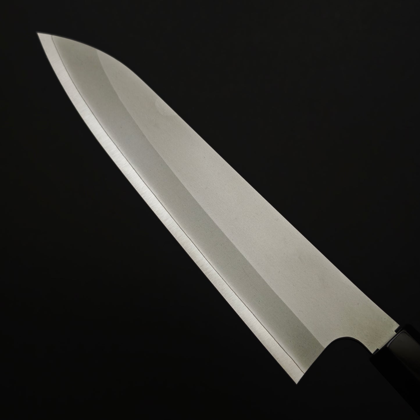 Daruma Hamono Ginsan Gyuto 210mm