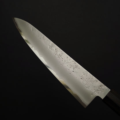 Sakai Takayuki Nashiji VG10 Gyuto 210mm