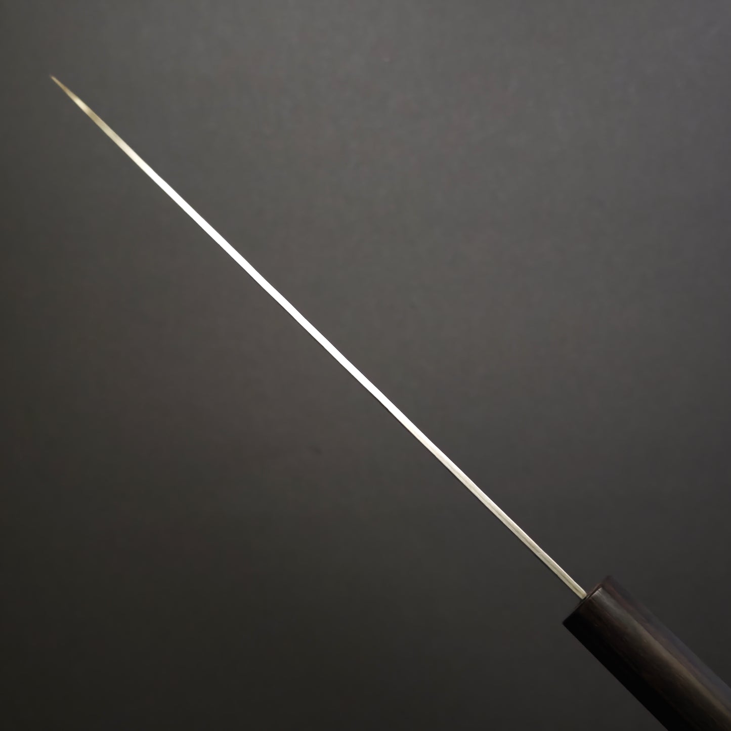 Sakai Takayuki Nashiji VG10 Gyuto 210mm