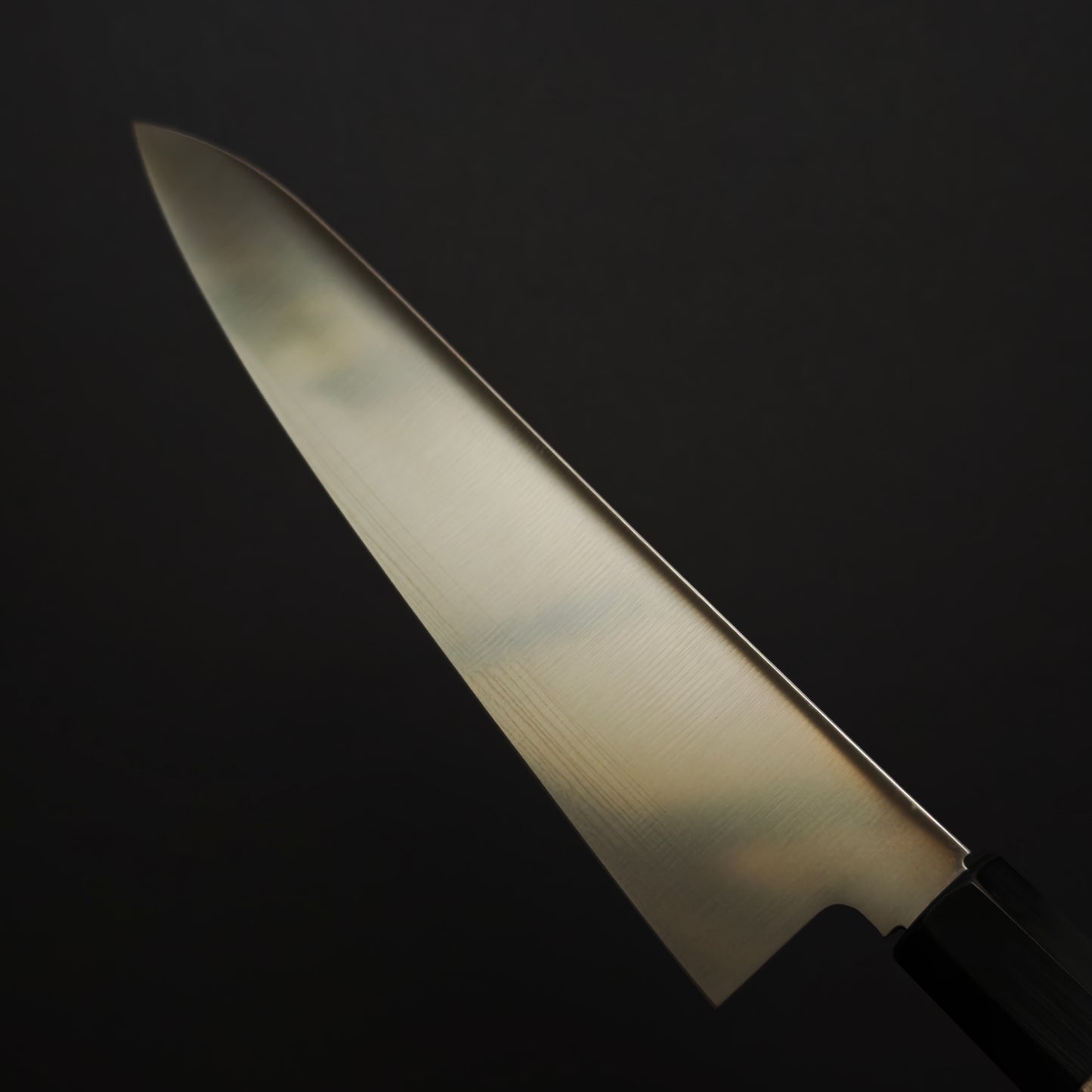 Sakai Takayuki Grand Chef Gyuto 210mm - WA Handle