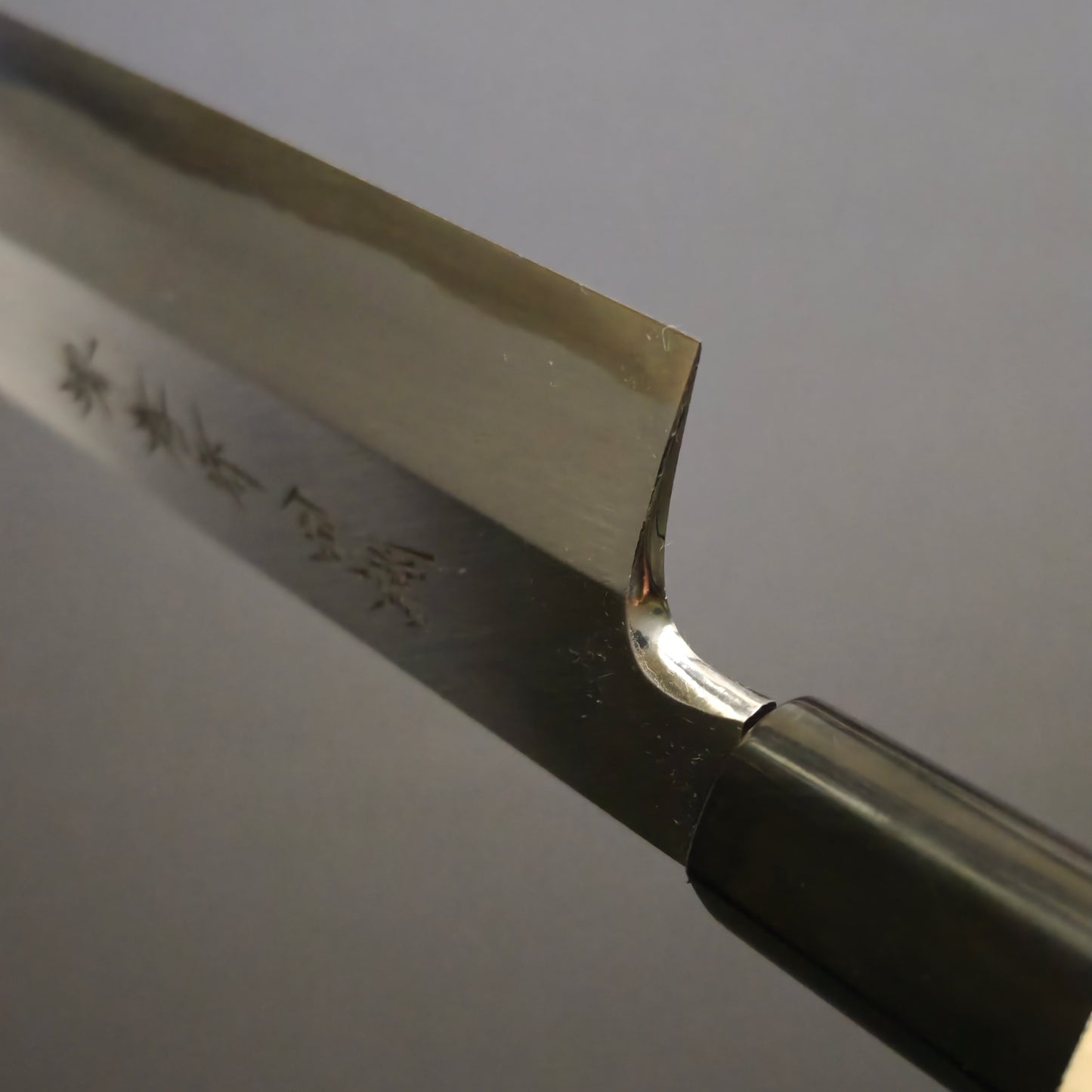 Sakai Takayuki Tokujo White2 Mukimono 180mm