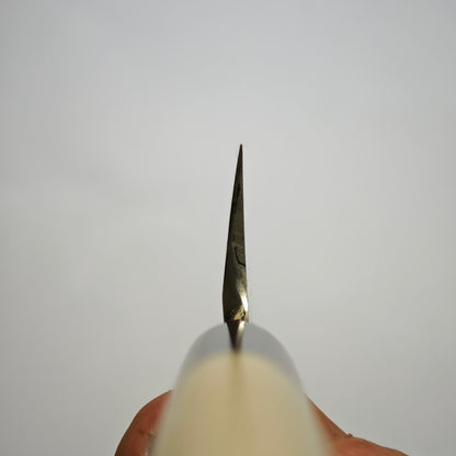 Sakai Takayuki Tokujo White2 Mukimono 180mm