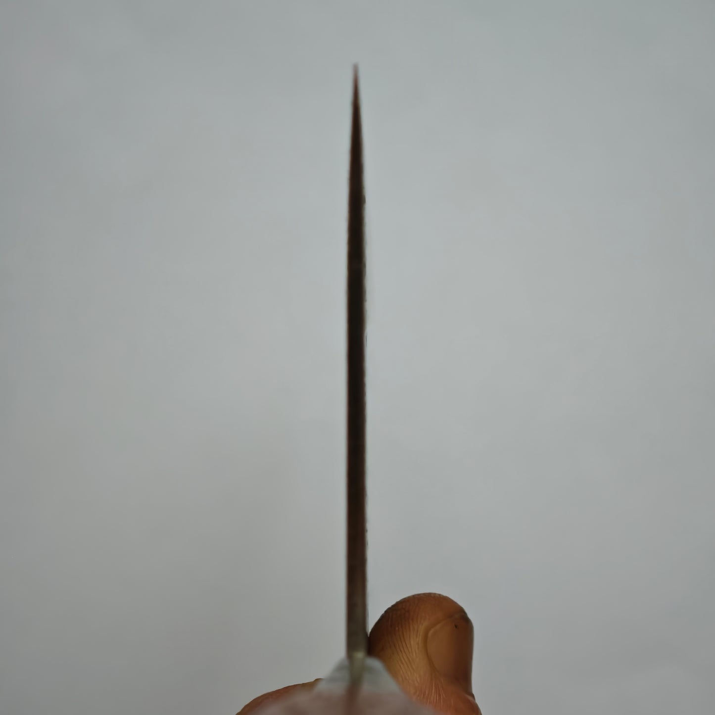 Sakai Takayuki SK Chinese Cleaver 210mm