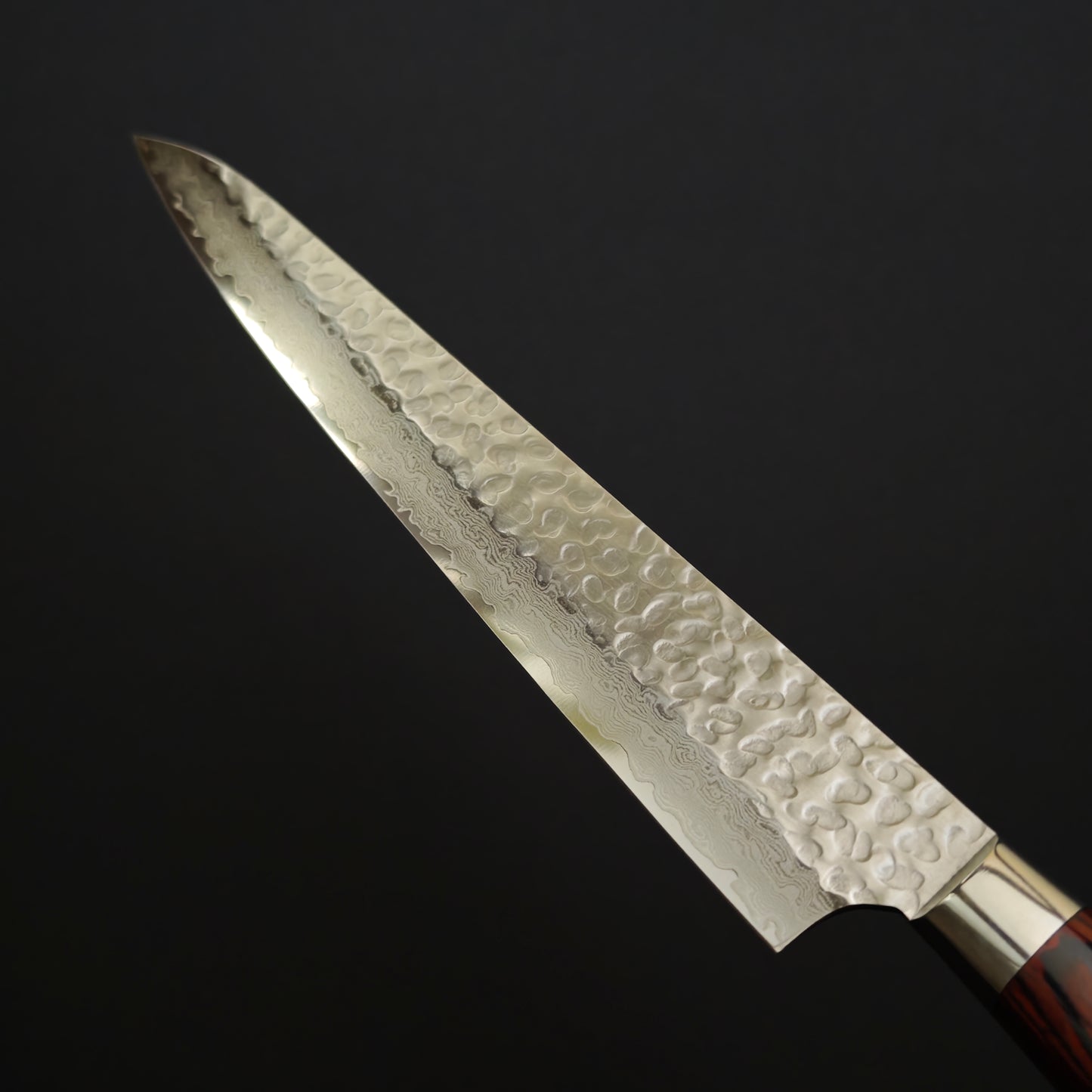 Sakai Takayuki VG10 33 Layer Damascus Sujihiki 240mm-Western Handle