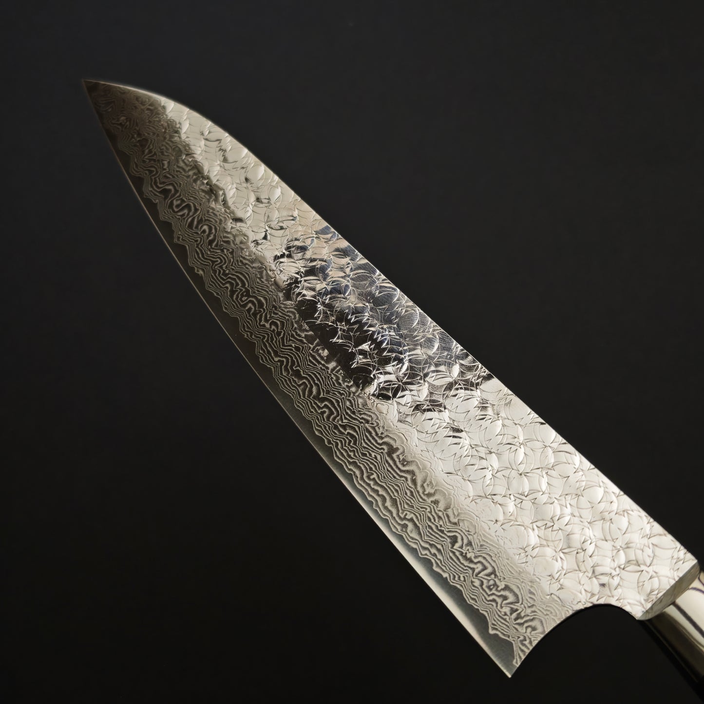Sakai Takayuki SPG2 Gyuto 210mm