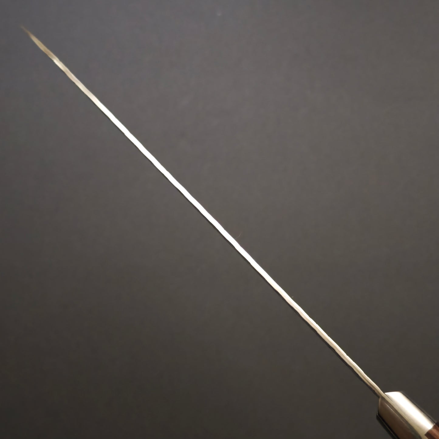 Sakai Takayuki SPG2 Gyuto 210mm