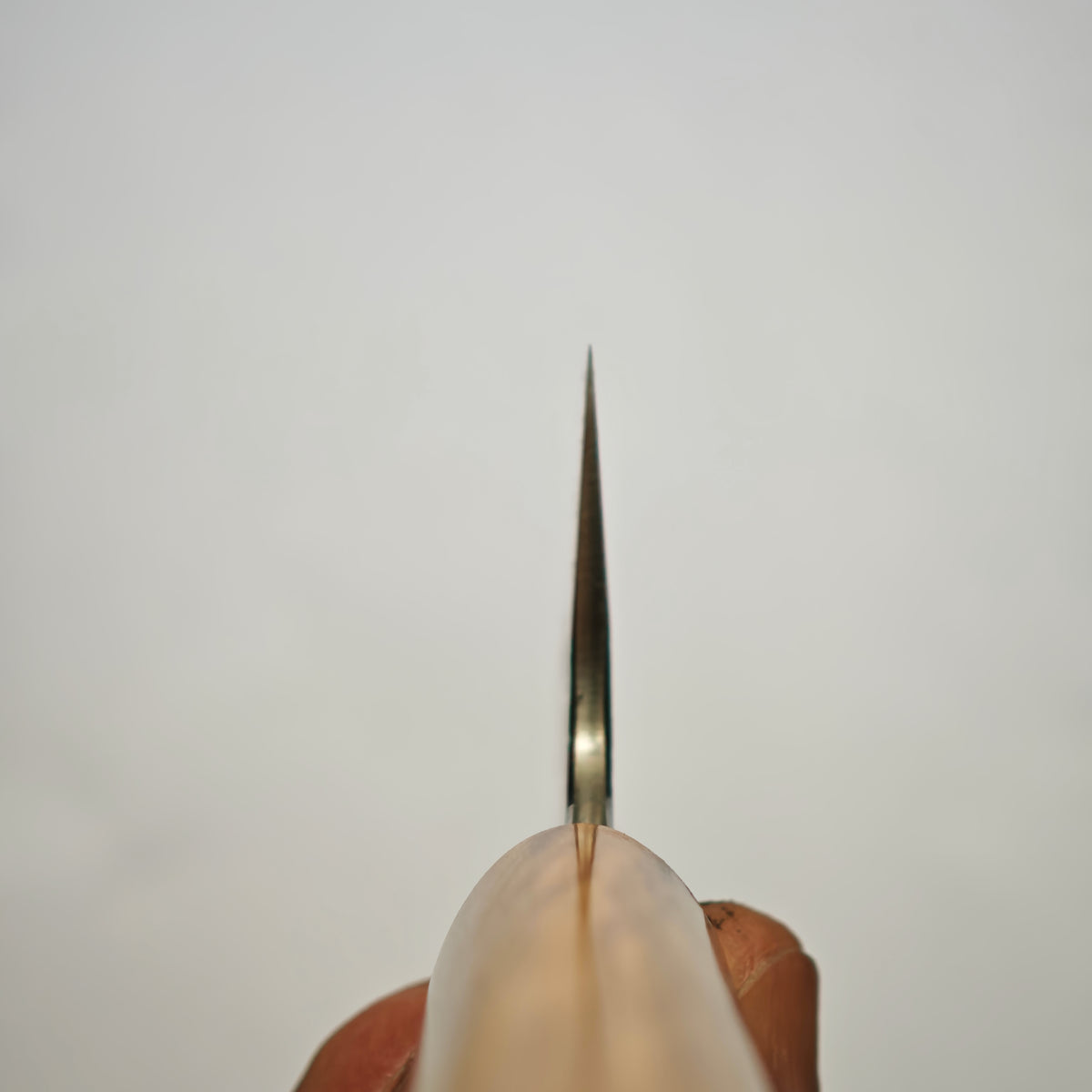 Sakai Takayuki SANPOU Mizu White2 Gyuto 210mm