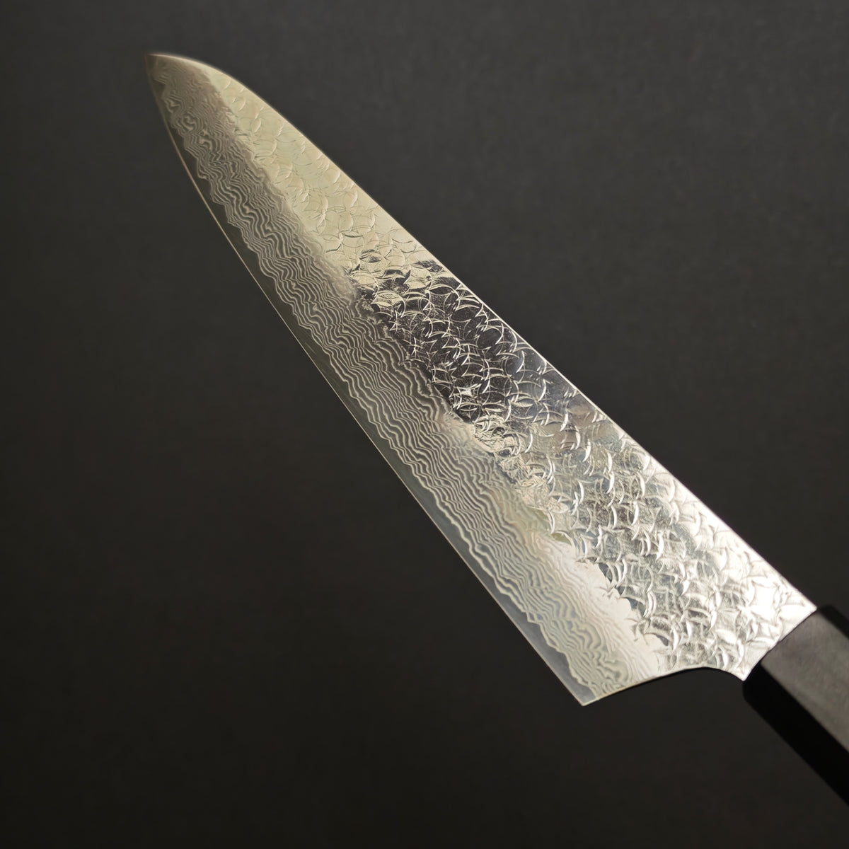 Sakai Takayuki SPG2 Gyuto 210mm