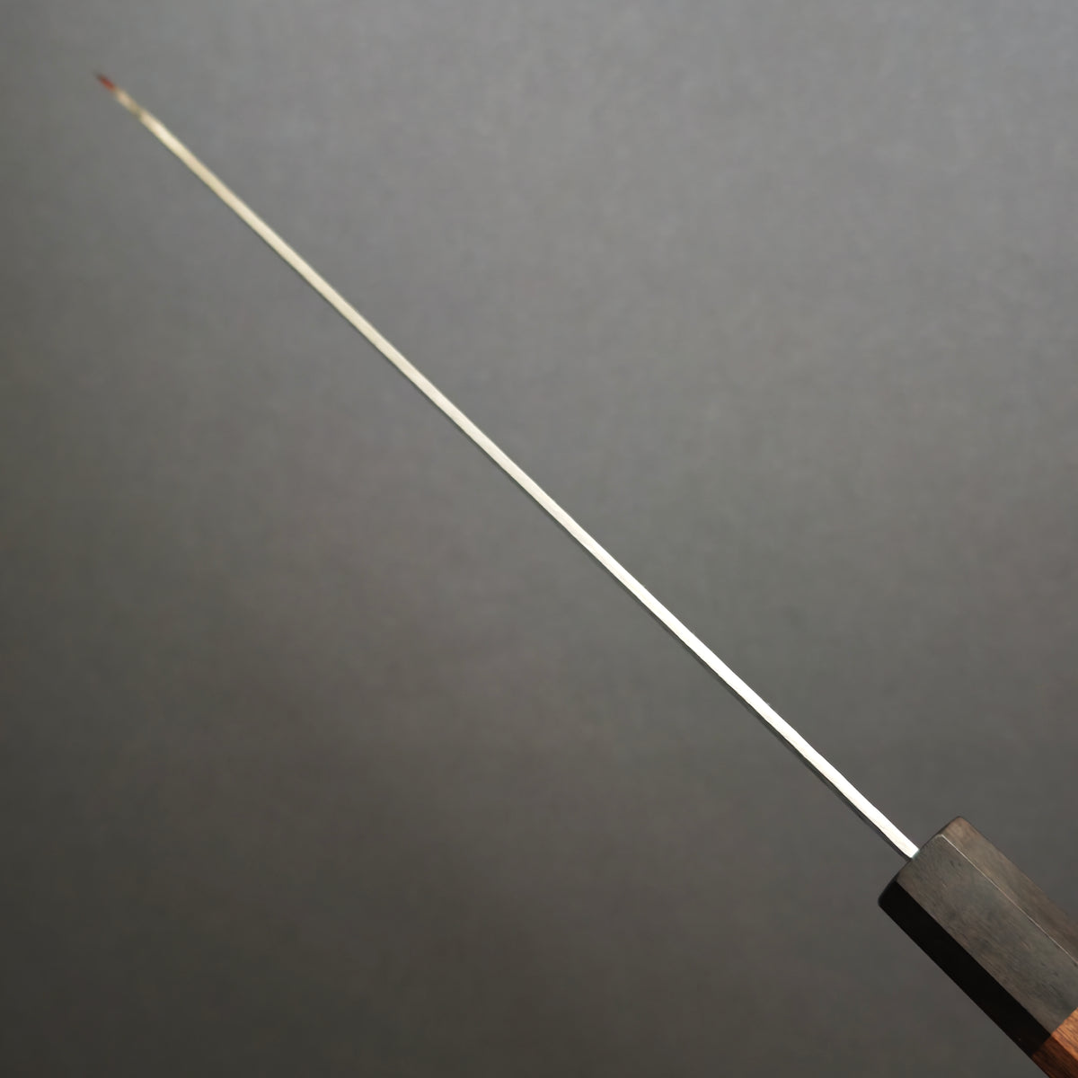 Sakai Takayuki SPG2 Gyuto 210mm