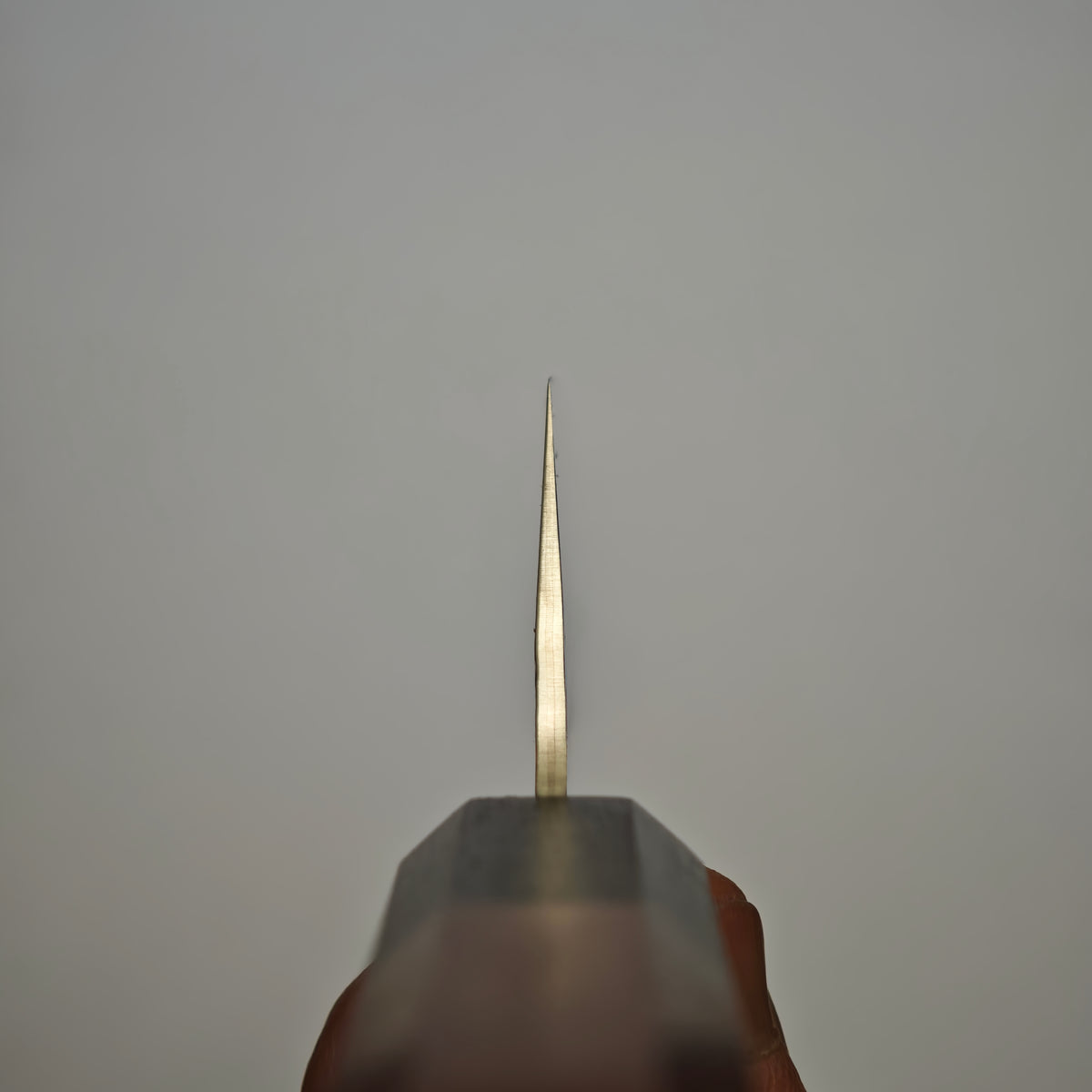 Sakai Takayuki SPG2 Gyuto 210mm
