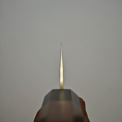 Sakai Takayuki SPG2 Gyuto 210mm