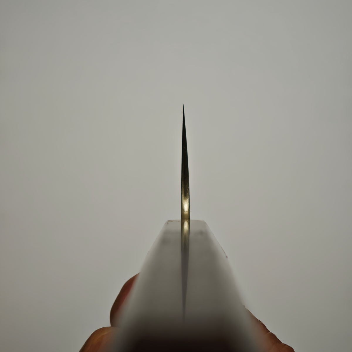 Sukenari Hap40 Gyuto 210mm with Saya