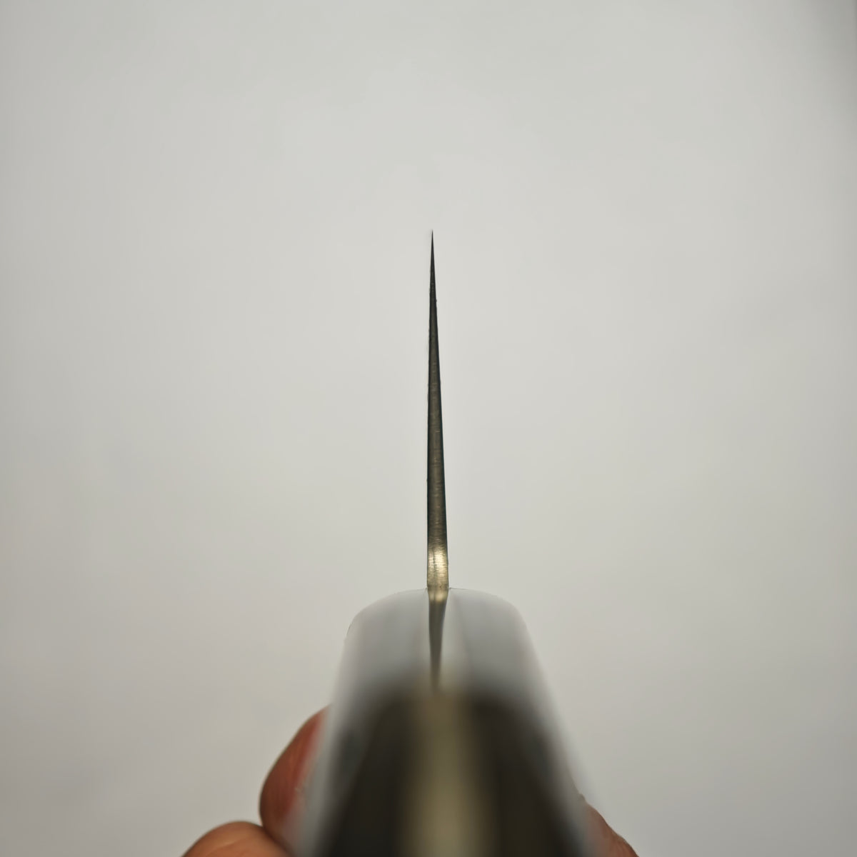 Shisei SLD Nakiri 165mm-Black Western