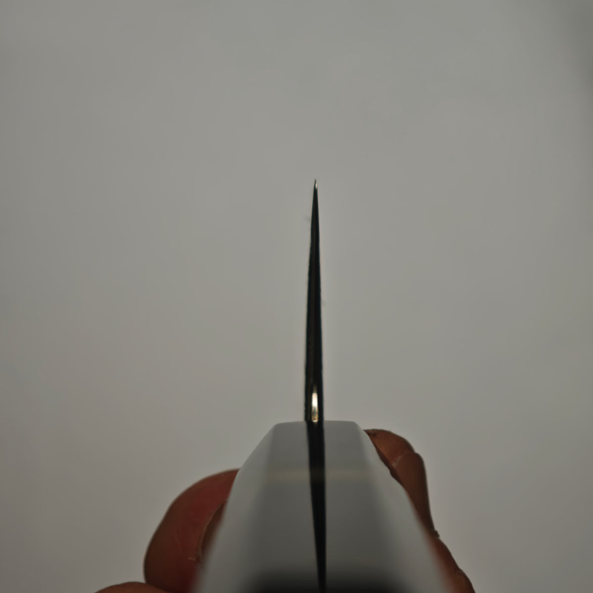Shisei SRS13 Nami Gyuto 180mm