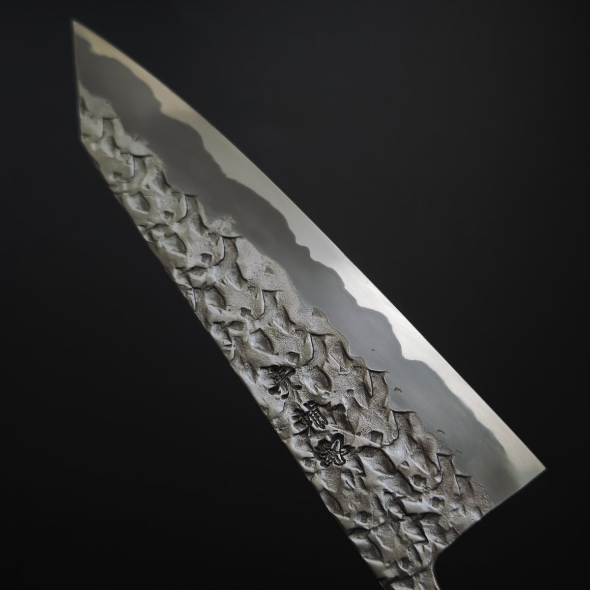 Kisuke Manaka JKS polished Blue2 Gyuto 210mm