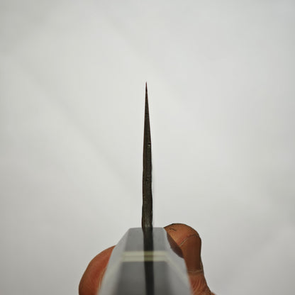 Kisuke Manaka JKS polished Blue2 Gyuto 210mm