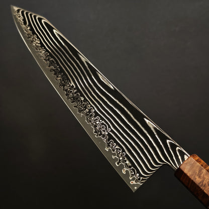 Kanjo SG2 Damascus Kiritsuke Gyuto 240mm