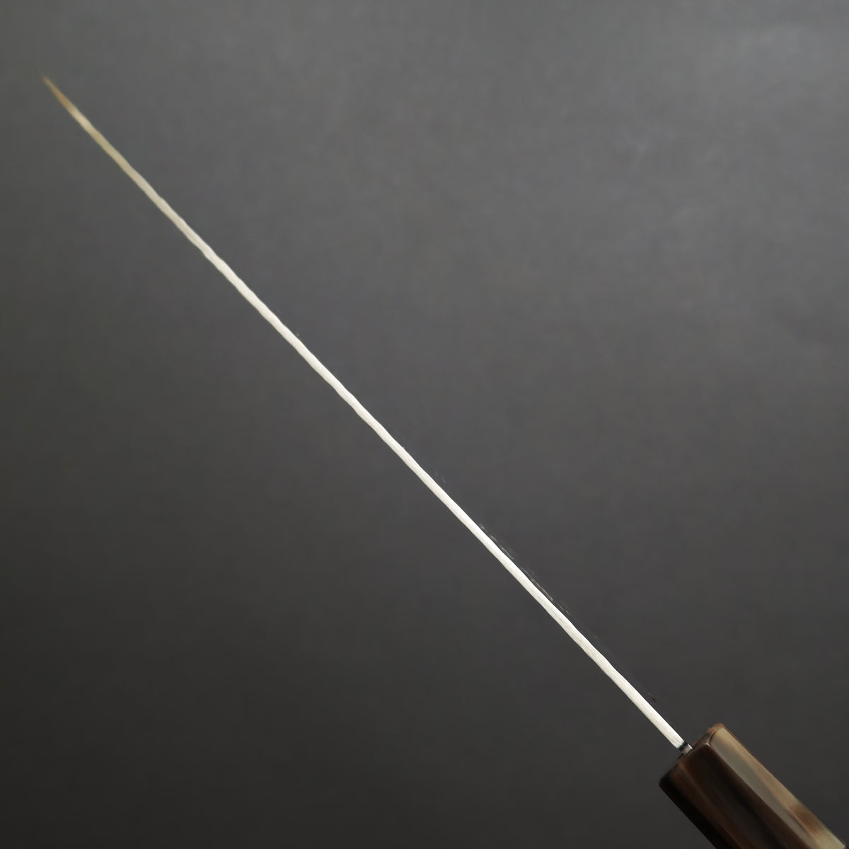 Shisei VG10 33 Layers Hammered Damascus Gyuto 210mm