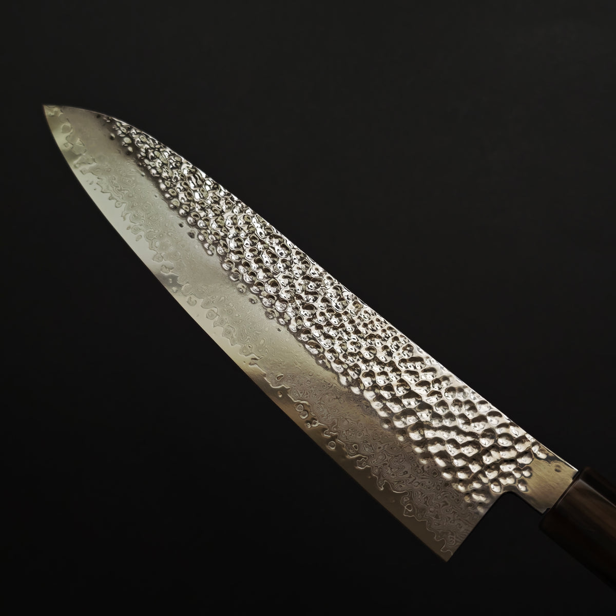 Shisei VG10 33 Layers Hammered Damascus Gyuto 210mm