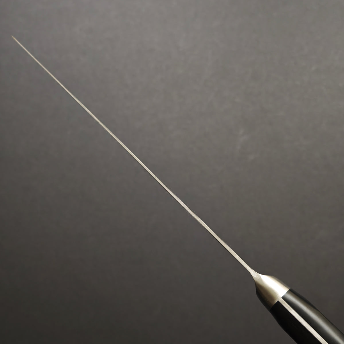 Shisei Filleting Knife