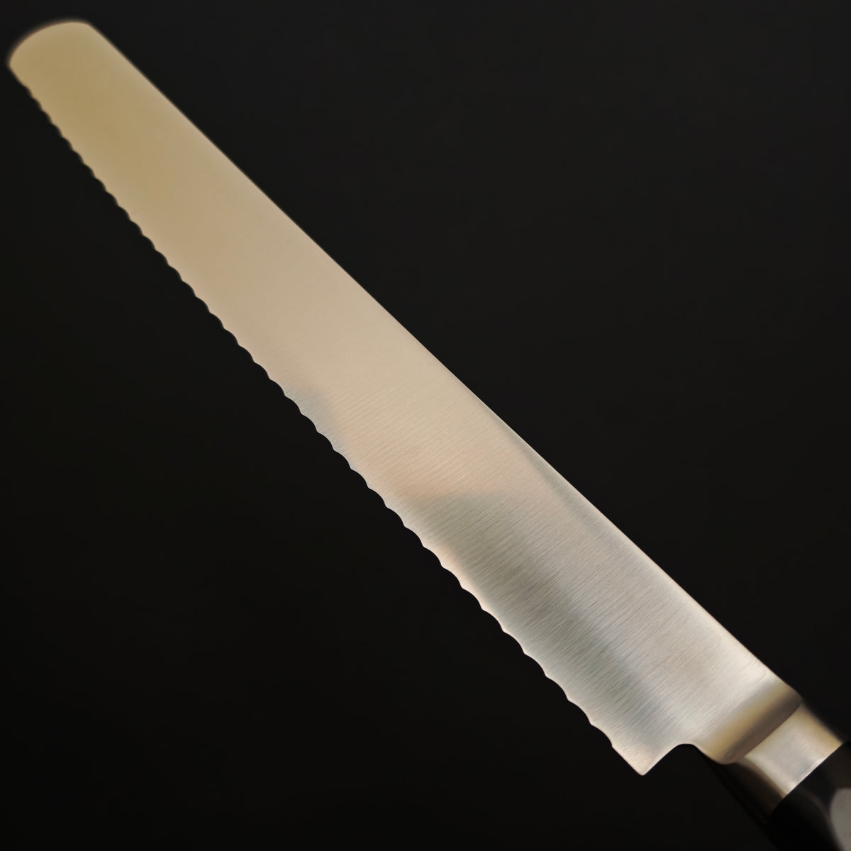 Shisei Bread Knife 250mm